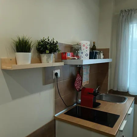 Samar 2 דירה בארי